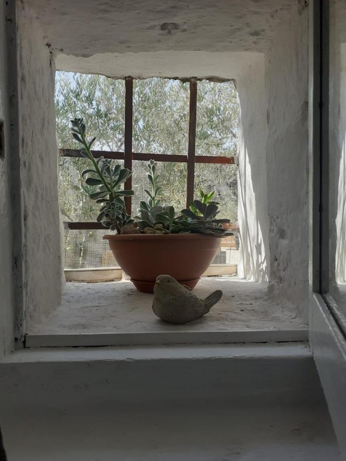 La Mia Dimora Villa Cocolicchio Eksteriør bilde